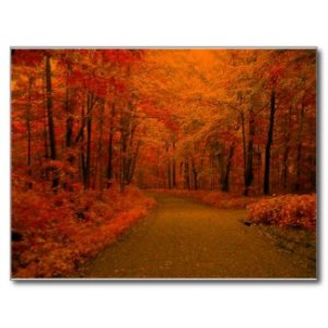 Fall Pathway Postcard