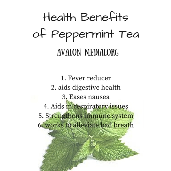 Health Benefitsof Peppermint Tea (1)